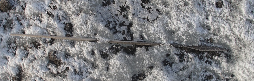 Eisenzeitlicher Pfeil aus dem Eis in Løpesfonna, Norwegen (Foto: T. Bretten, Oppdal, 2011).